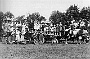 durante la vendemmia del 1940 nei possedimenti del conte Andrea Cittadella-Vigodarzere